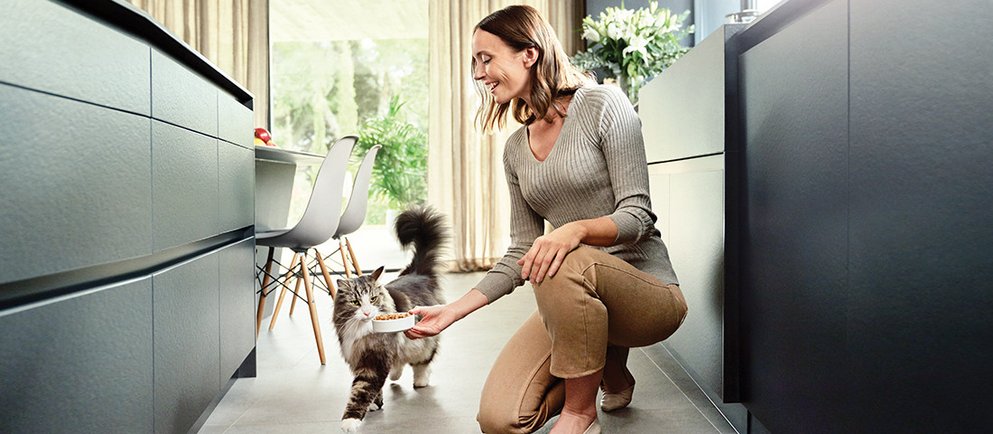 Katze wird von einer Frau mit einem Napf Futter versorgt.