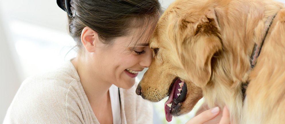 Hund und Katzen-Freunde bei Zoo & Co.