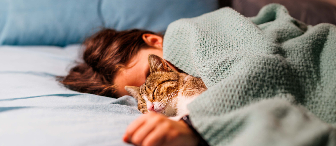 Schlafende Katze und niedliches Kind als Titelbild der ZOO & Co. Eigenmarken