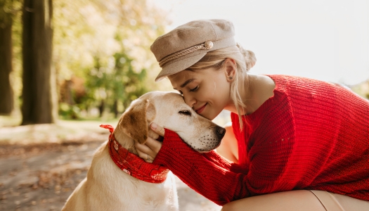 Hundeerziehung: Was du bei Welpen beachten musst