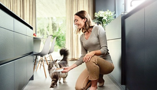 Neue Möglichkeit, um trotz Allergie mit Katzen zusammenzuleben