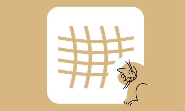 Maßanfertigung von Katzenschutznetzen im ZOO & Co. Tierfachmarkt