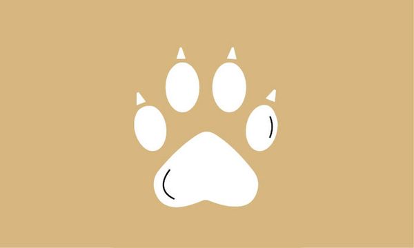 Krallenpflege im ZOO & Co. Tierfachmarkt