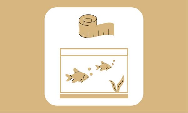 Aquarienplanung im ZOO & Co. Tierfachmarkt