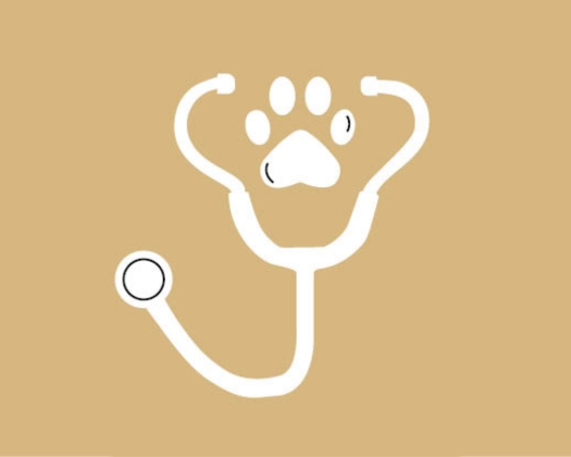 Das Symbol zur Reiseapotheke für weitere Informationen