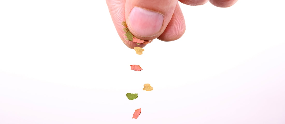 Ein Aquarium mit Kiesboden, in dem Blasen aus einem Sprudelstein aufsteigen, verbunden mit einem externen Luftpumpe auf der linken Seite. Eine Beleuchtung ist über dem Aquarium angebracht.