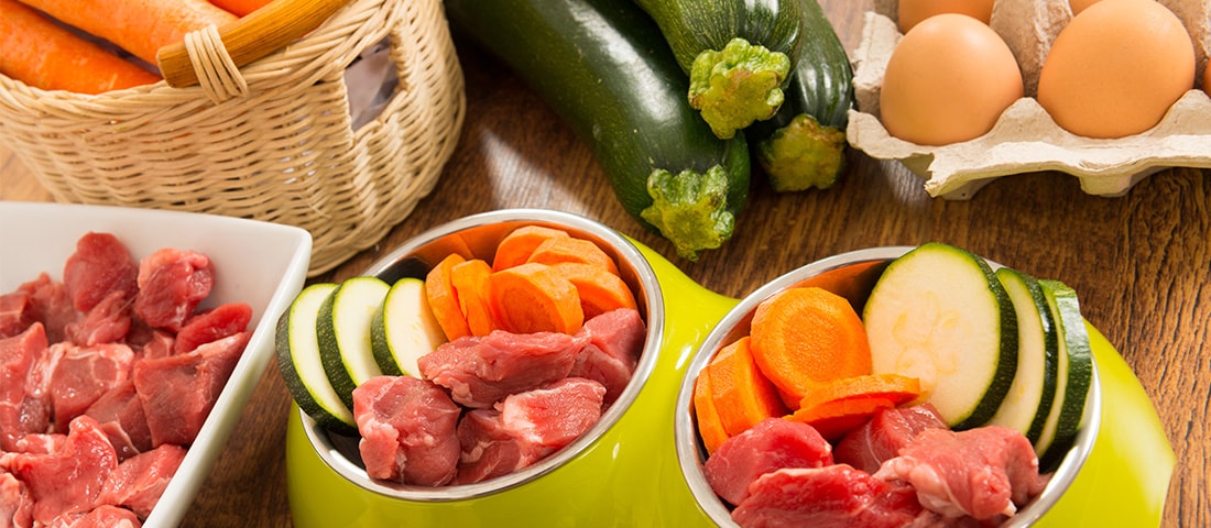 Wechsel von Fertigfutter zur BARF-Ernährung