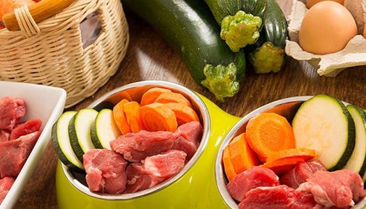 Futterumstellung für den Hund