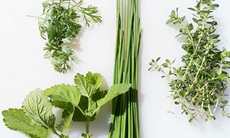 Frische Kräuter unter dem Motto BARF für den Hund