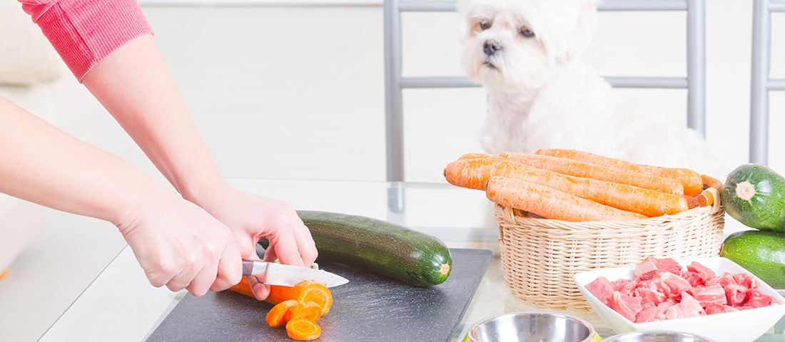 Fleischliebhaber, Vegetarier, Veganer, glutenfrei oder Paleo