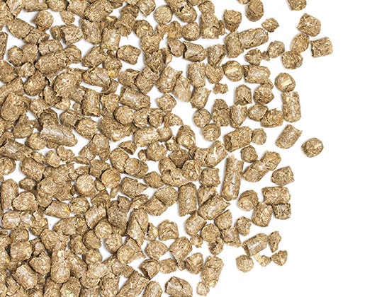 Tabletten & Chips als Fischfutter für am Boden lebende Tiere